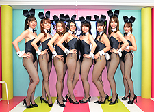 THE BUNNY GIRL CLUB �o�������o�[