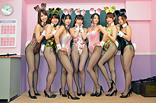 THE BUNNY GIRL CLUB �o�������o�[
