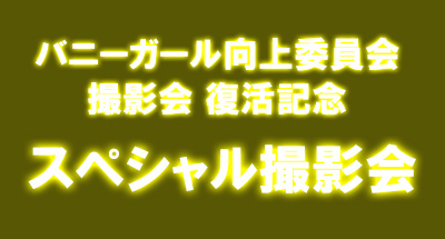 �o�j�[�K�[������ψ���B�e��