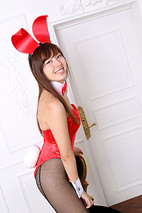 �o�j�[�K�[��,�e������