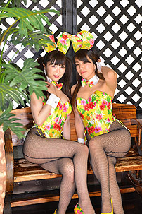 �o�j�[�K�[��,���d�q�E���ߔ���