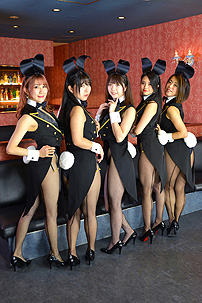 �o�j�[�K�[��,�o�j�������o�[