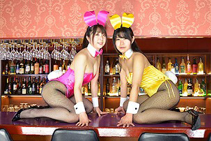 �o�j�[�K�[��,�o�j�������o�[