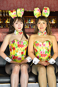 �o�j�[�K�[��,���ߔ����E���d�q